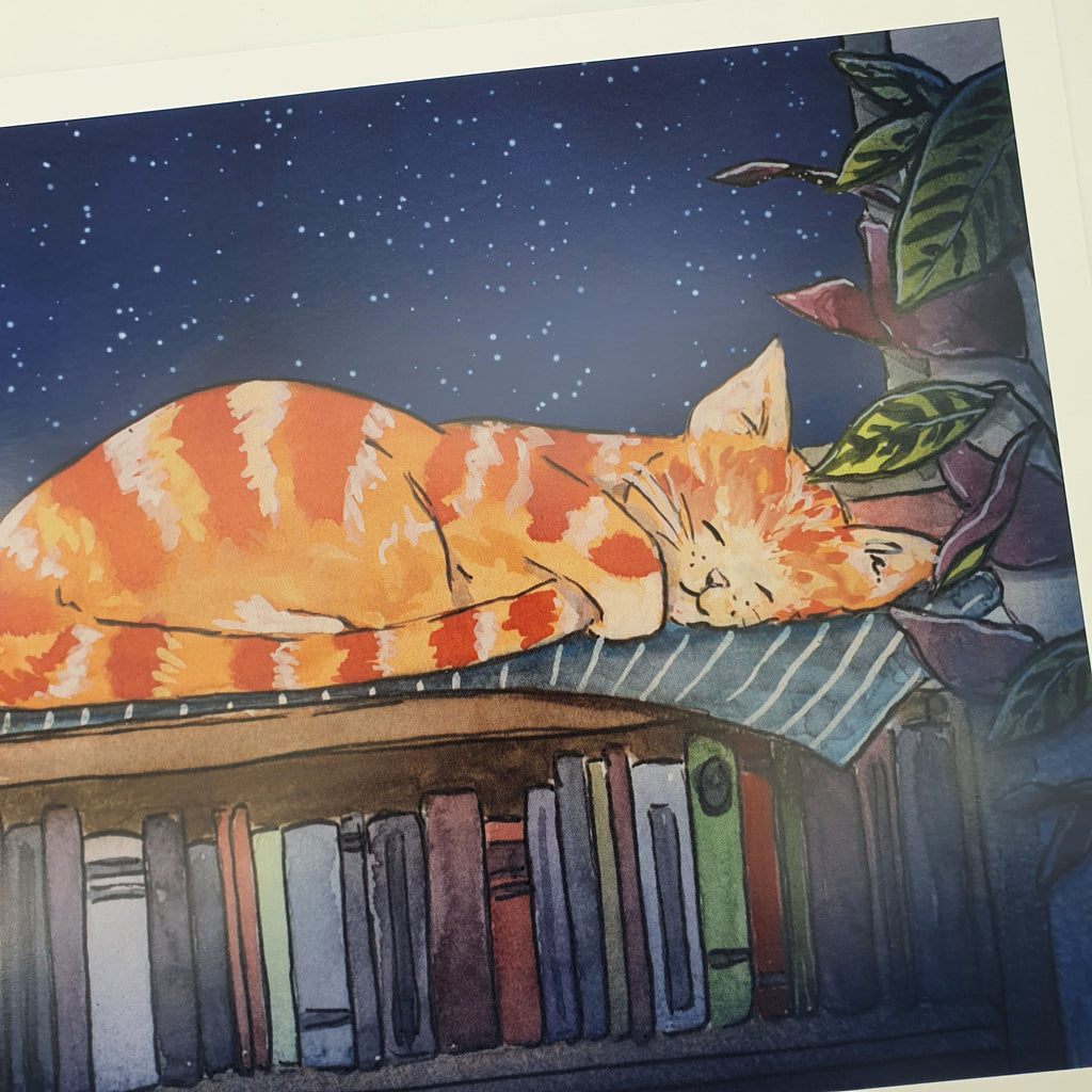 Print "Schlafende Katze zwischen Büchern", zwei Größen Sir Mittens